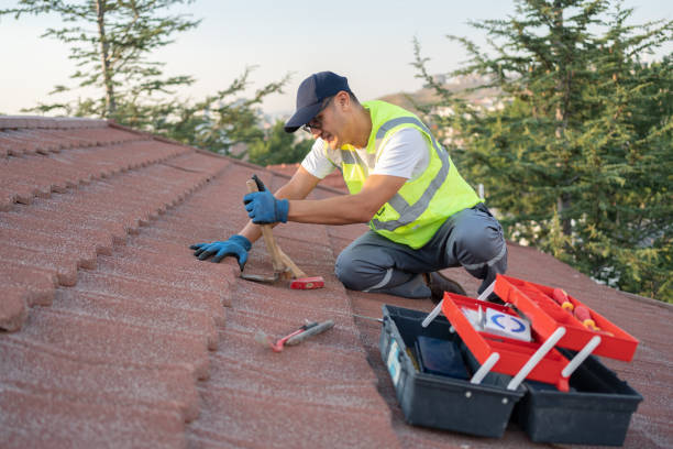 Best Roof Gutter Cleaning  in Richwood, NJ